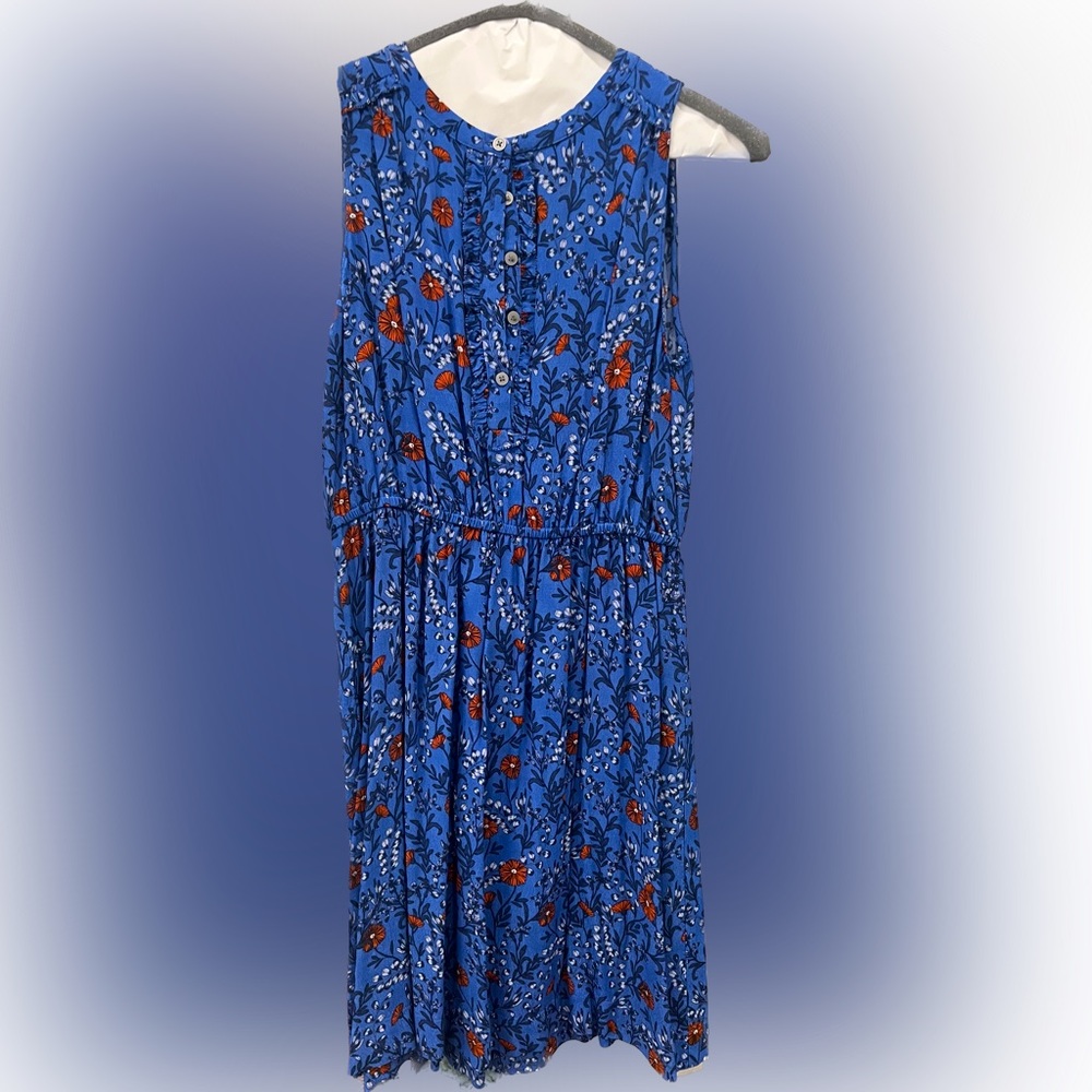 Woman’s Ann Taylor Loft Petite Blue Floral dress